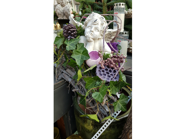 Bild 81 von Gartenbau-Blumen Helmut Friedl