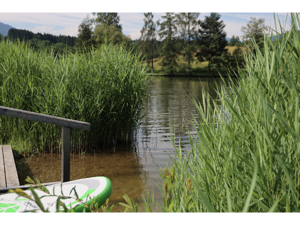 Bild 32 von Hotel Ritzenhof