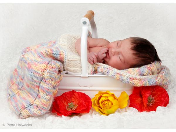 Bild 9 von Fotostudio Petra Halwachs