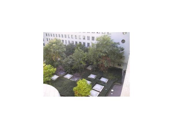 Bild 4 von Palma Dach GmbH