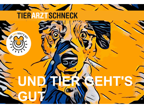Bild 2 von Schneck
