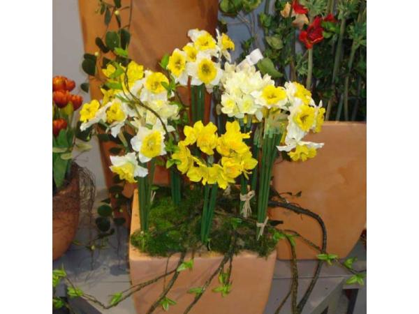 Bild 6 von Josef Walkner
