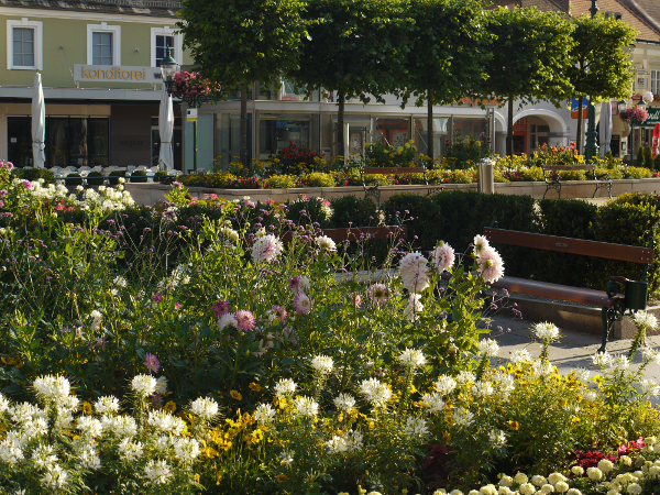 Bild 4 von grünplan Landschaftsarchitekten