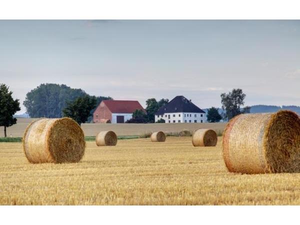 Bild 6 von Tourismusverband S´INNVIERTEL