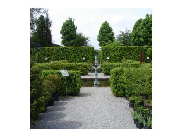 Bild 1 von Viridarium Gartengestaltung