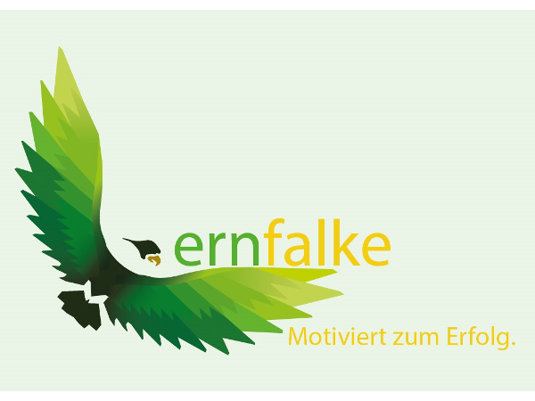Bild 1 von Lernfalke - Nachhilfeinstitut - MOTIVIERT ZUM ERFOLG