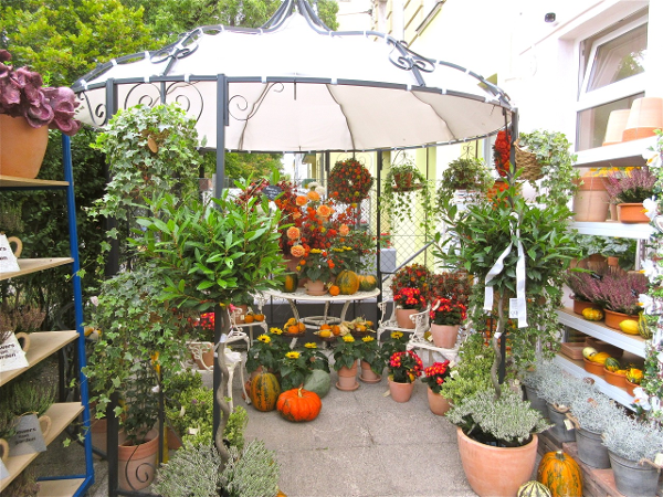 Bild 2 von DAS FLORarium und seine Künstler