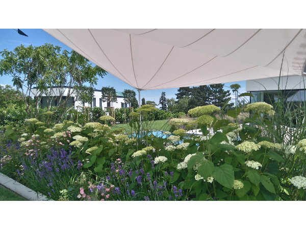 Bild 4 von GRÜNWOLF – Gartengestaltung