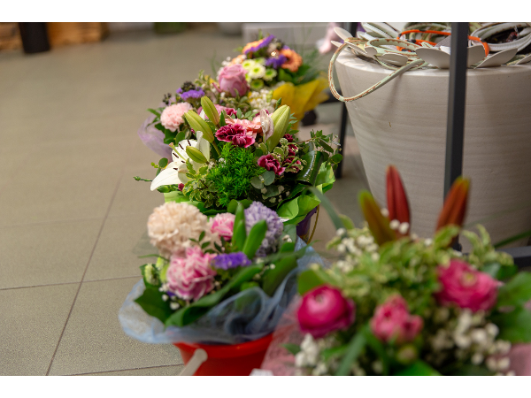 Bild 8 von Griessmaier Blumen Donauspital