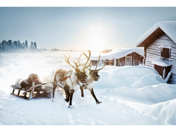 Bild 5 von Traxler Fine Art Photography