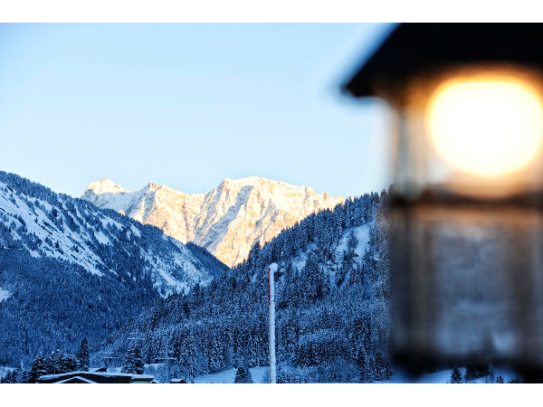 Bild 29 von Luxury Chalets Wiesenruh****