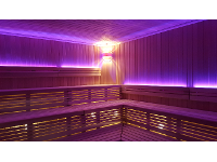 Wellness- & Sauna-Profi, Günter Weisgram