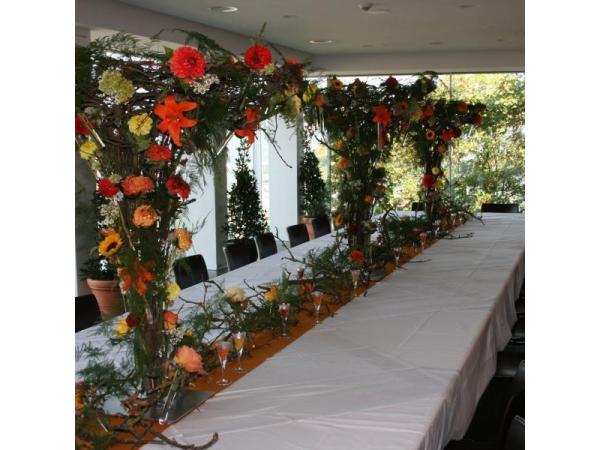 Bild 63 von Gartenbau-Blumen Helmut Friedl
