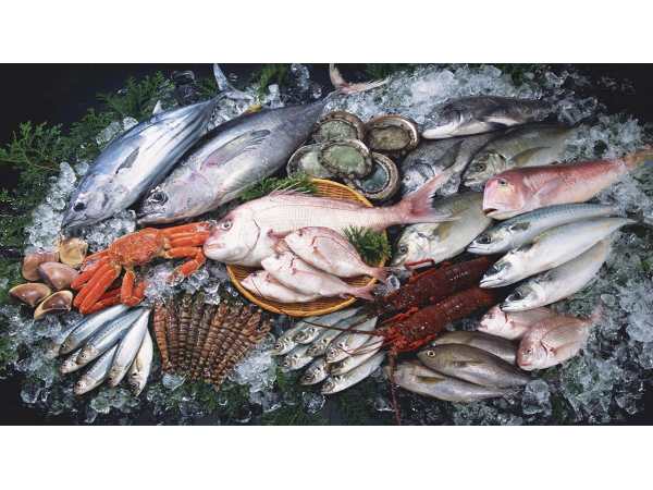 Bild 6 von Royal Fish GmbH