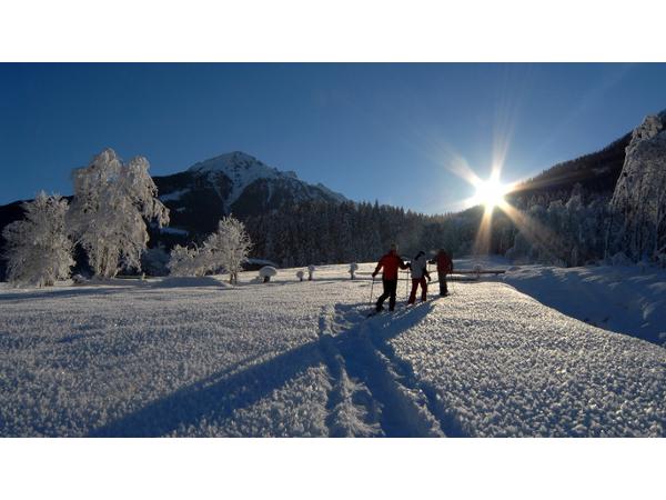 Bild 1 von Tourismusbüro Neukirchen