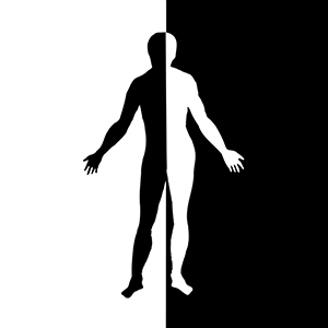 Logo von Hofer Bernhard