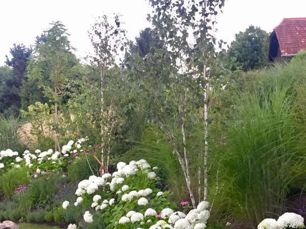 Bild 5 von Gartenreich Monika Schüttengruber