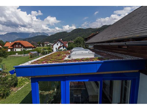 Bild 15 von Neuhold Dach GmbH