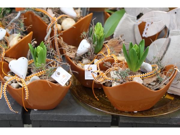 Bild 34 von Gartenbau-Blumen Helmut Friedl