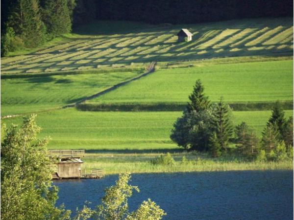 Bild 16 von Fotohaus Schwarz Brigitte