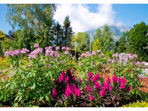 Bild 8 von Baumschule und Gartengestaltung Prötzner