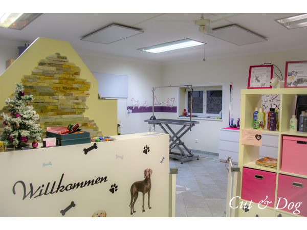 Bild 6 von Hundesalon Cut & Dog