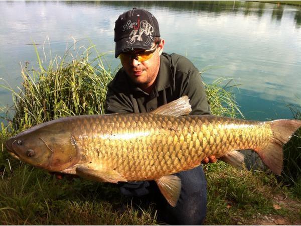 Bild 3 von Anglershop Aschach