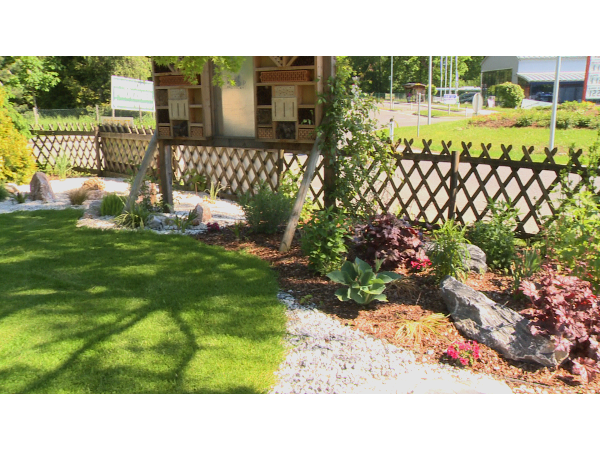 Bild 19 von Baumschule und Gartengestaltung Prötzner