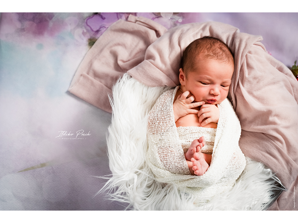 Bild 4 von Ildiko Posch Photography