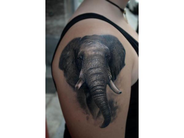 Bild 13 von OpusMagnum Tattoo
