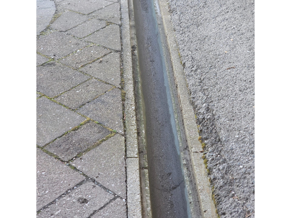 Bild 1 von MT Hausbetreuung