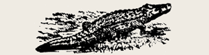 Logo von Kraemer Helmut GmbH
