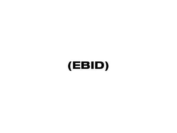 Bild 1 von Elektronisches Büro im Dienst - EBID