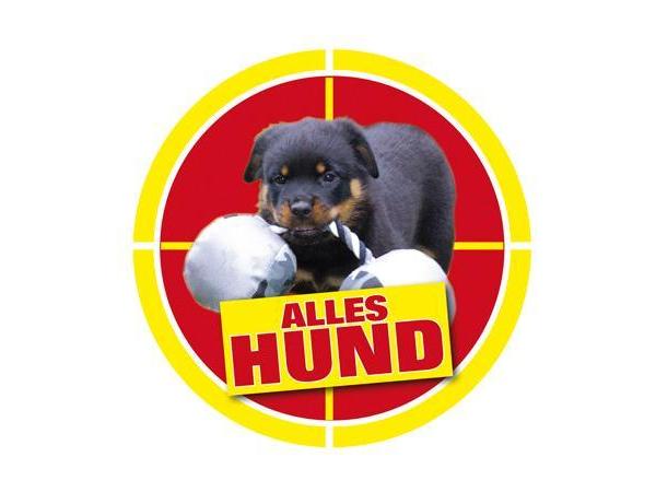 Bild 1 von ALLES HUND GmbH