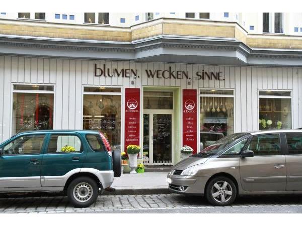 Bild 4 von e.bosco - blumen wecken sinne Ewald Pühringer