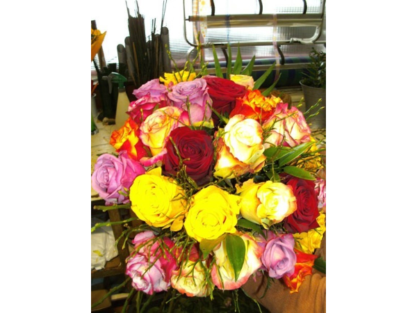 Bild 3 von Blumen Richter