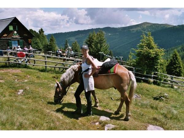 Bild 7 von Reitstall Ponderosa