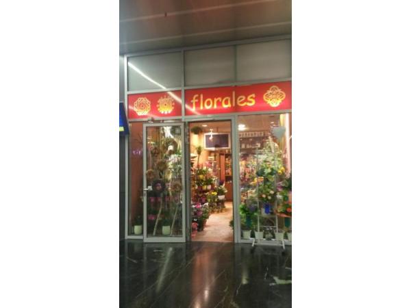 Bild 1 von florales