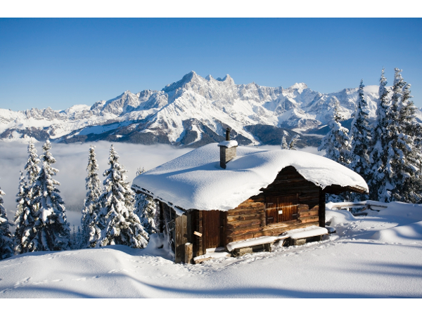Bild 5 von alpeimmo Immobilien und Bauträger GmbH