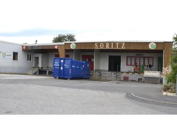 Bild 1 von Soritz GesmbH