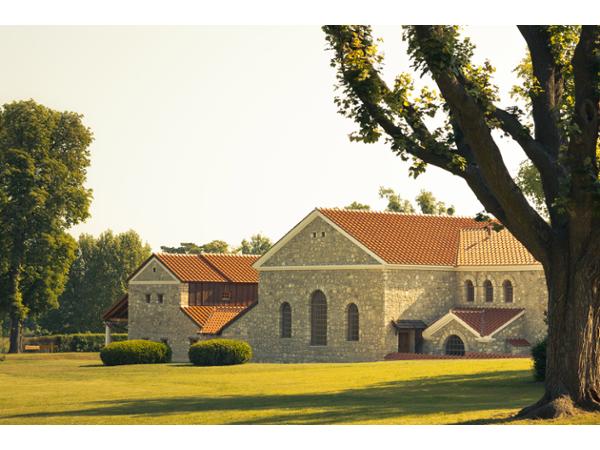Bild 1 von Römerstadt Carnuntum