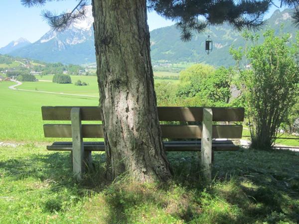 Bild 6 von Schwoagahof - Schweiger Elisabeth & Robert