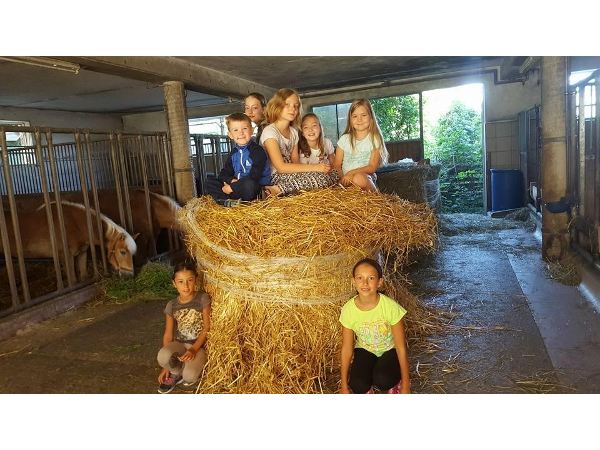 Bild 12 von Reitergut Weissenhof - Fam Veits