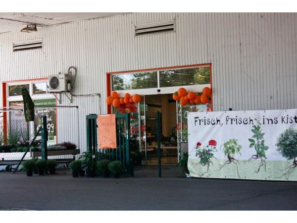 Bild 1 von Blumen B & B R. Bigl GesmbH