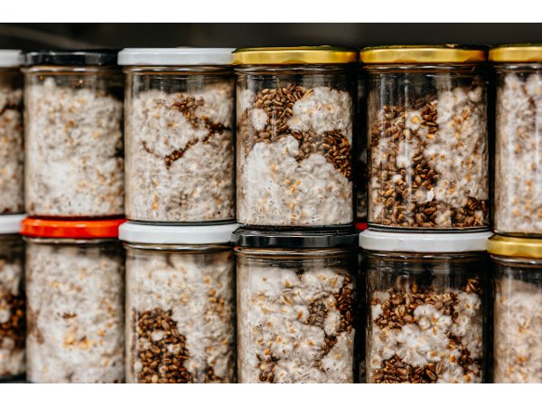 Bild 6 von Schilcherland Pilze KG