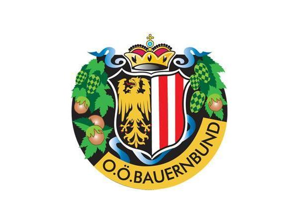 Bild 11 von FELDER's GRAFIK