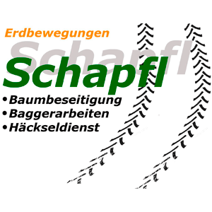 Logo Michael Schapfl