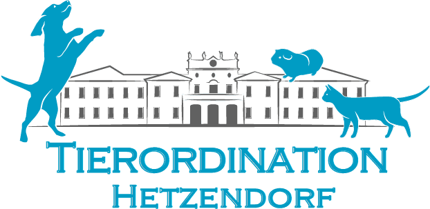 Logo Tierordination Hetzendorf - Mag. Fruzsina Vizvari