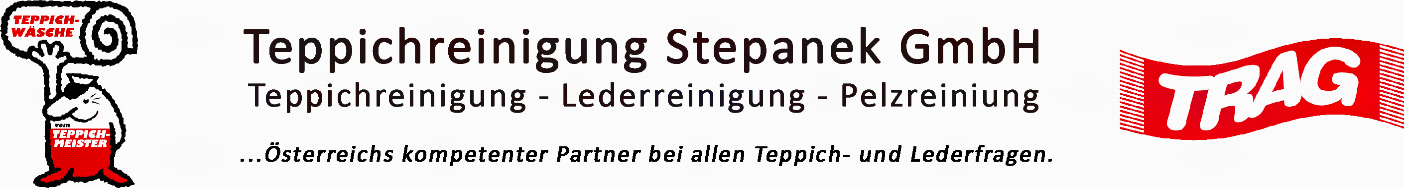 Logo Teppichreinigung Stepanek GesmbH