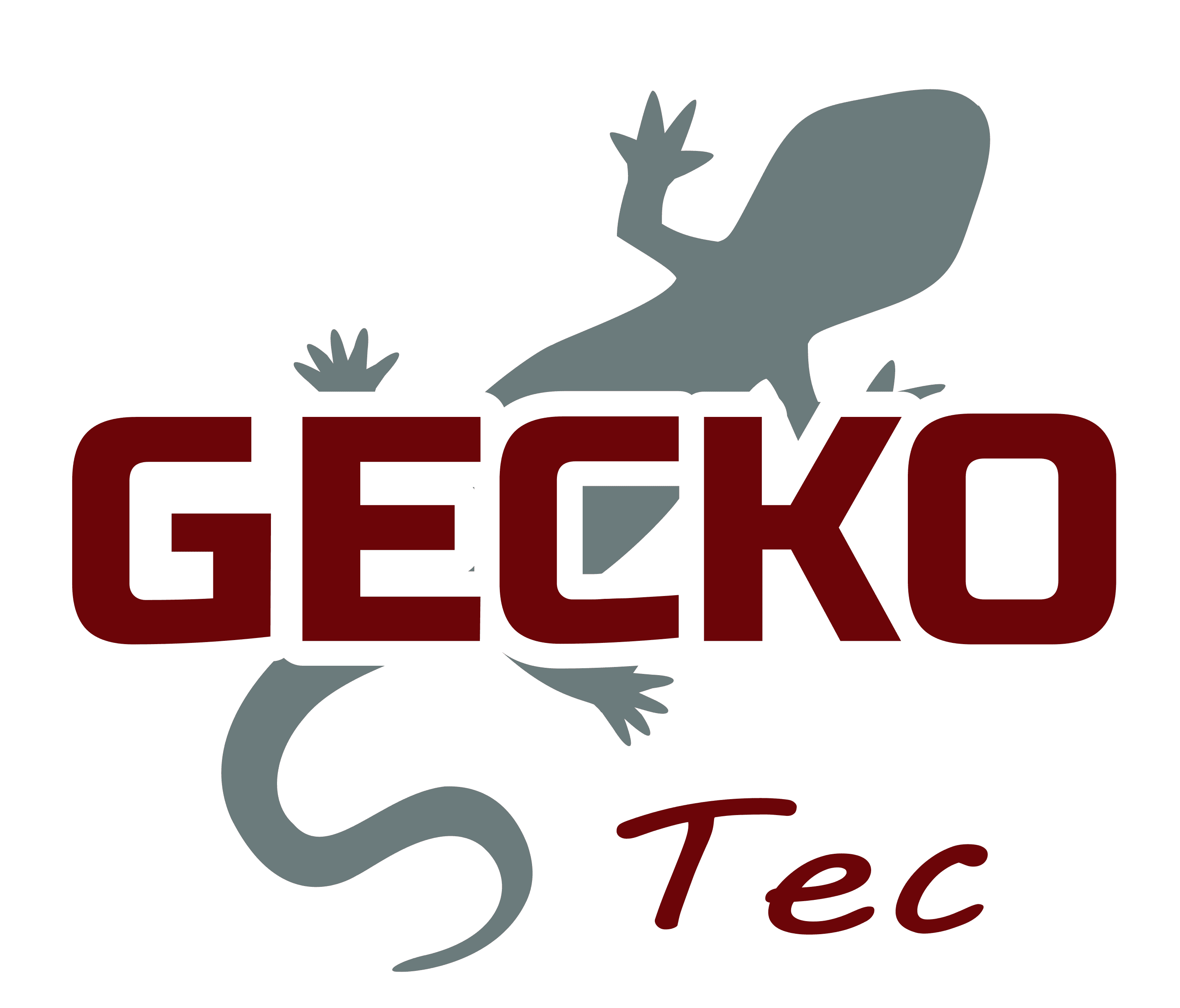 Vorschau - Foto 1 von Gecko Tec e.U.